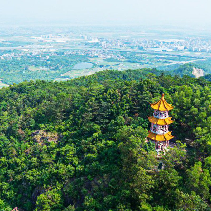 谢岗 银瓶山森林公园